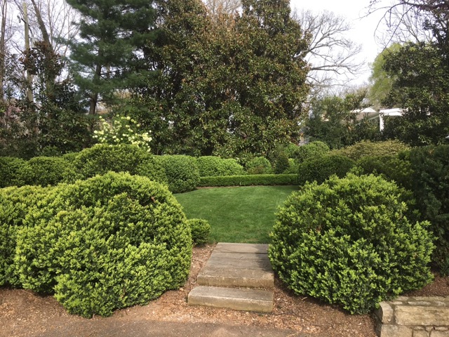 Boxwood Garden Redesign