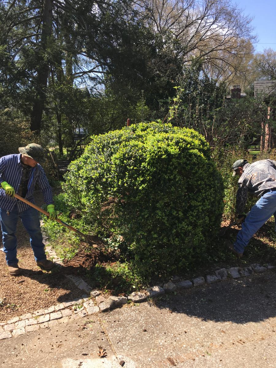 Landscape Solutions