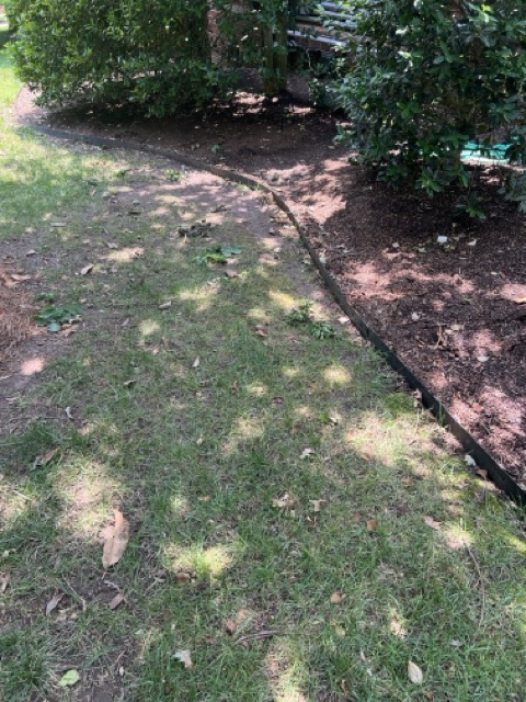Garden Border Contractor Brentwood