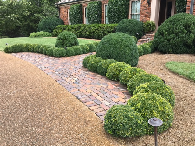 Foundation Planting Design