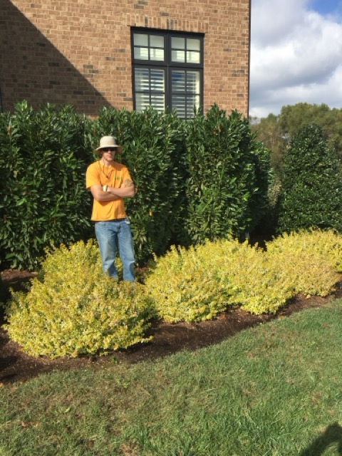 Foundation Landscape Installation