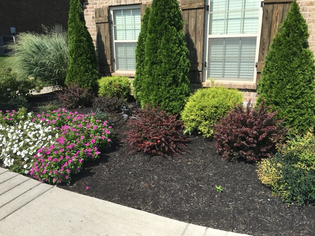 Foundation Garden Enhancement