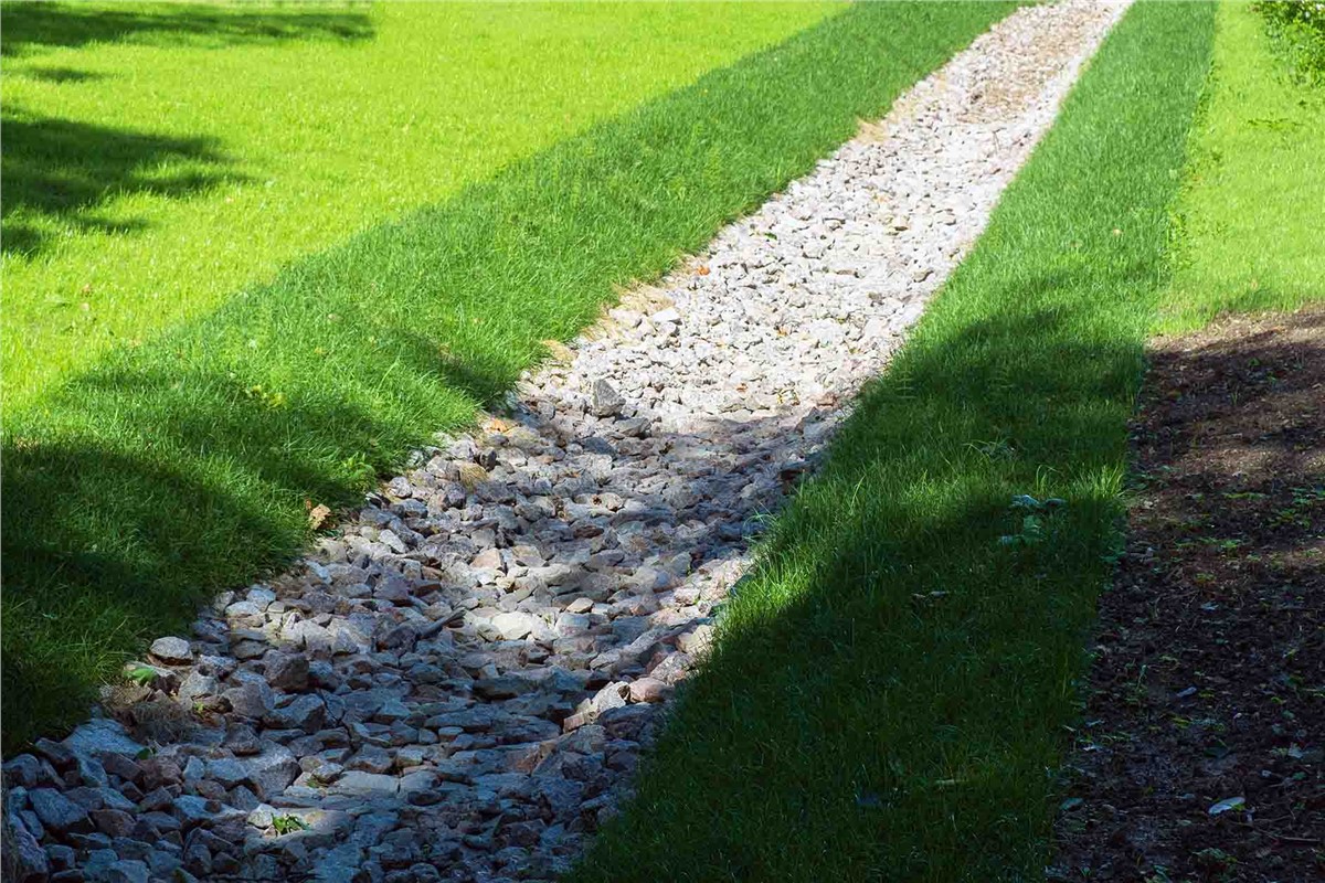 French Drain vs Trench Drain: Complete Comparison Guide (2025)
