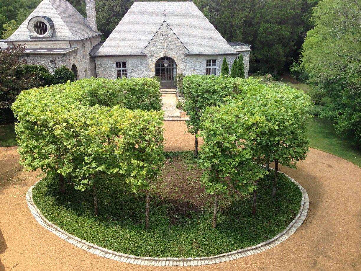 Landscape Design & Build