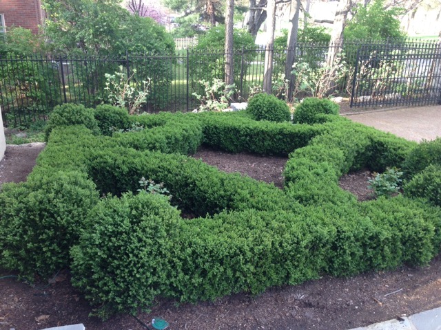 Landscape Maintenance project example 3 - Nashville area landscaping by Crenshaw Landscaping