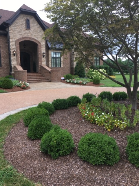 Landscape Design Project