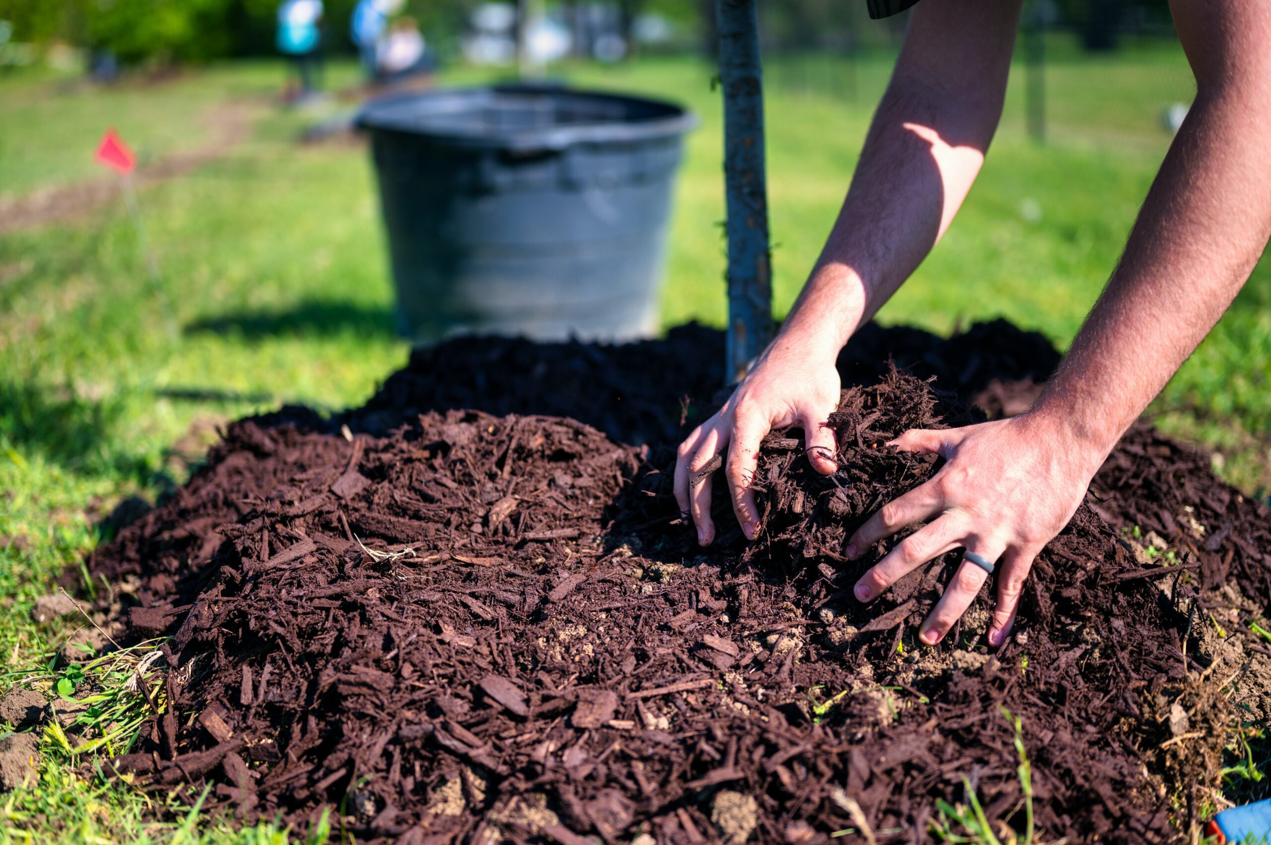 Rubber Mulch vs Wood Mulch: Complete Comparison Guide (2025)