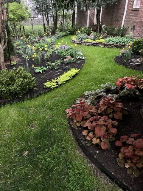 Mixed Perennial Garden
