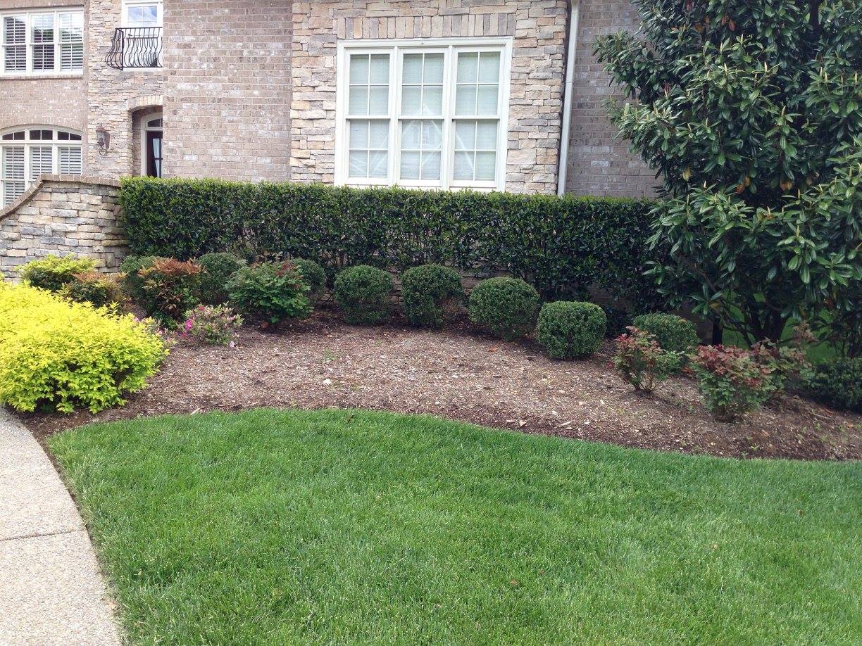 Landscape Renovation