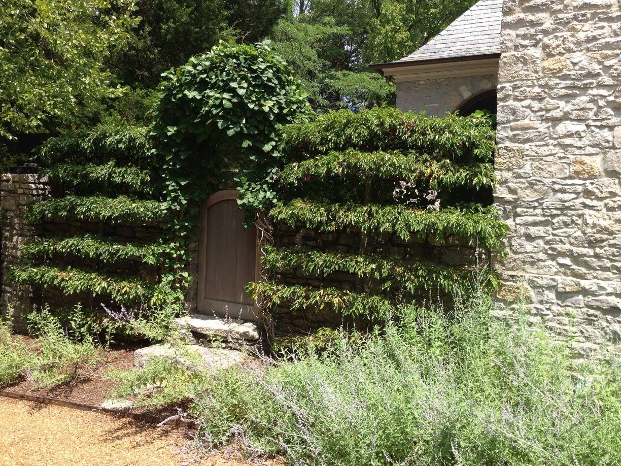 Comprehensive Hardscaping