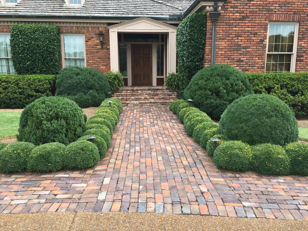 Complete Front Yard Transformation