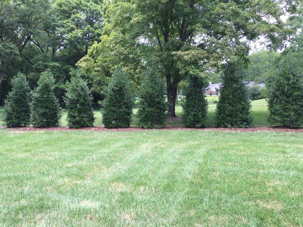 Grading & Hardscape Prep